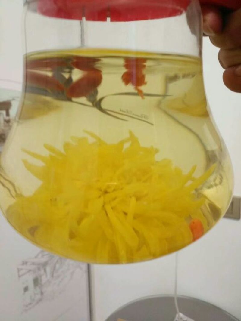 金丝皇菊