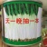 日本钢葱种子97%以上