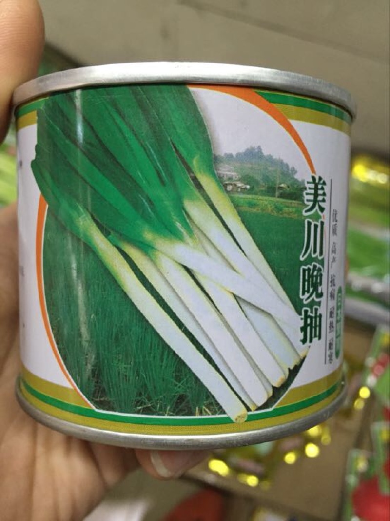 日本钢葱种子97%以上