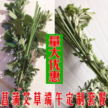 蕲艾端午节艾草菖蒲搭配套餐品质保证诚信经营