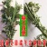 蕲艾端午节艾草菖蒲搭配套餐品质保证诚信经营