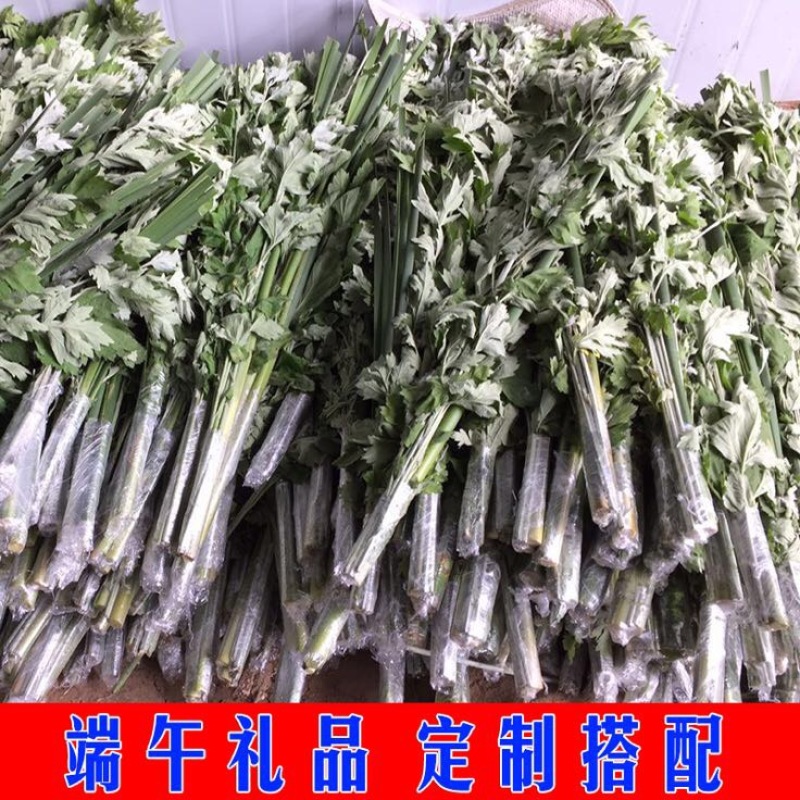 蕲艾端午节艾草菖蒲搭配套餐品质保证诚信经营