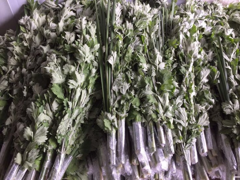 蕲艾端午节艾草菖蒲搭配套餐品质保证诚信经营