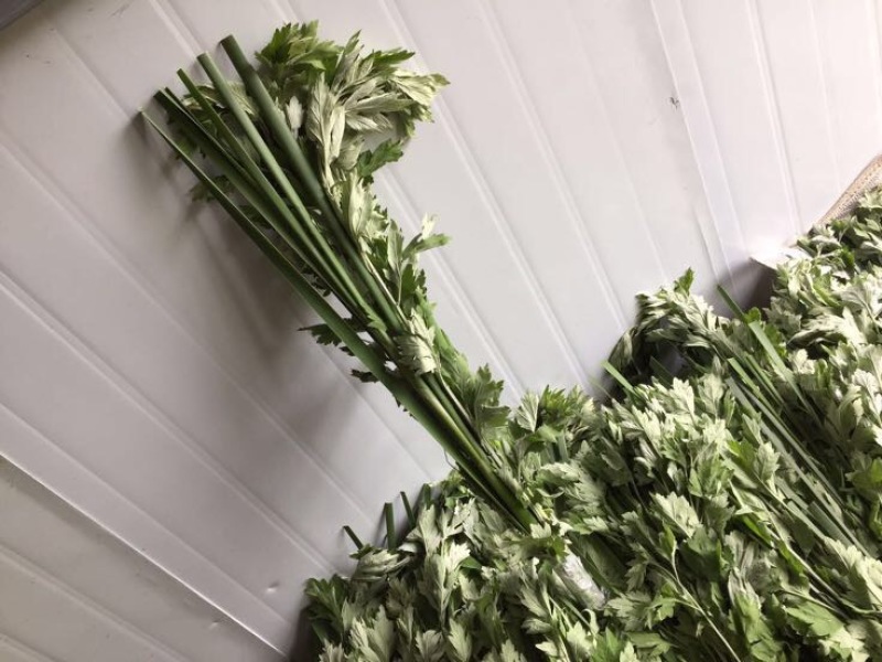 蕲艾端午节艾草菖蒲搭配套餐品质保证诚信经营