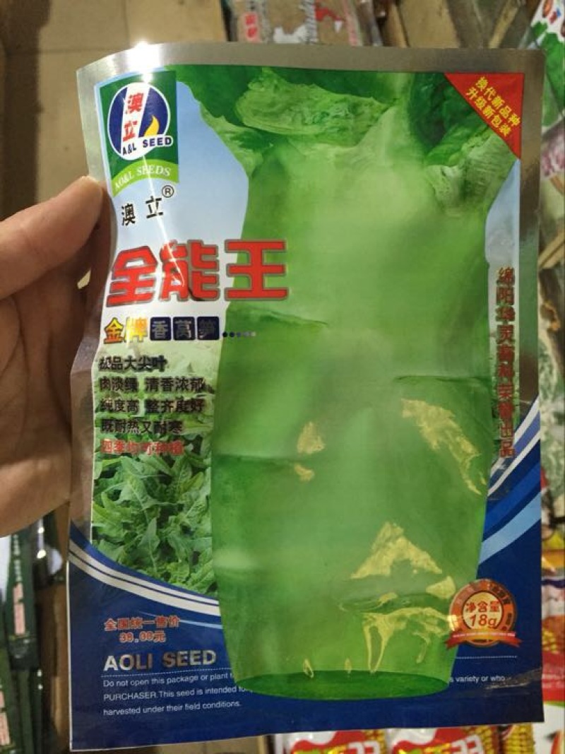 莴笋种子