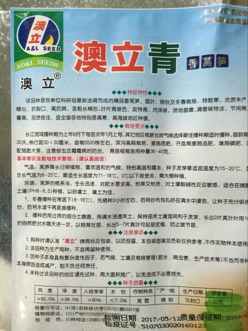 莴笋种子
