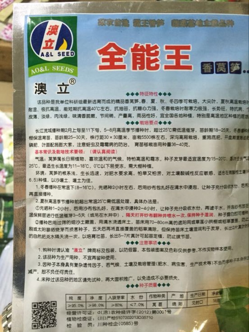 莴笋种子