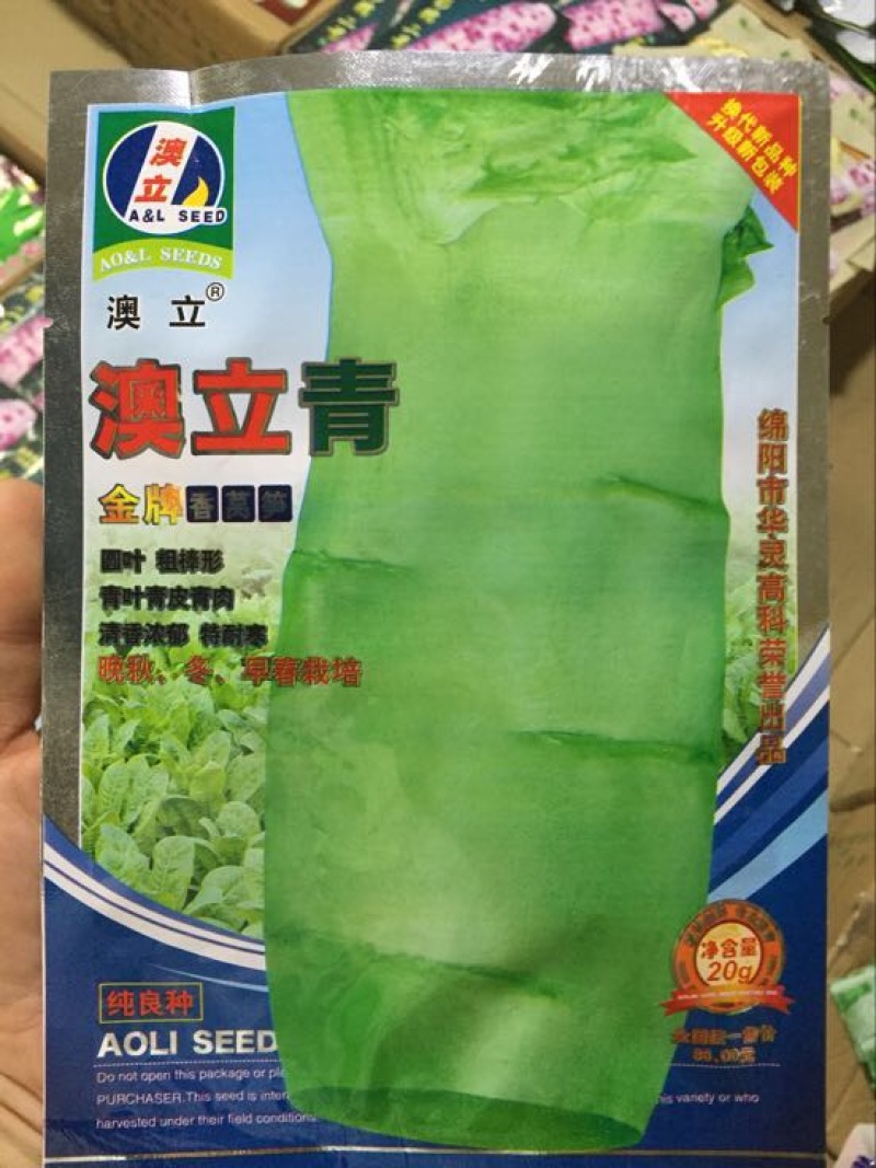 莴笋种子