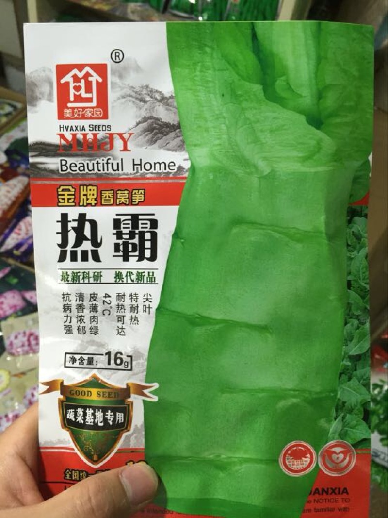 莴笋种子