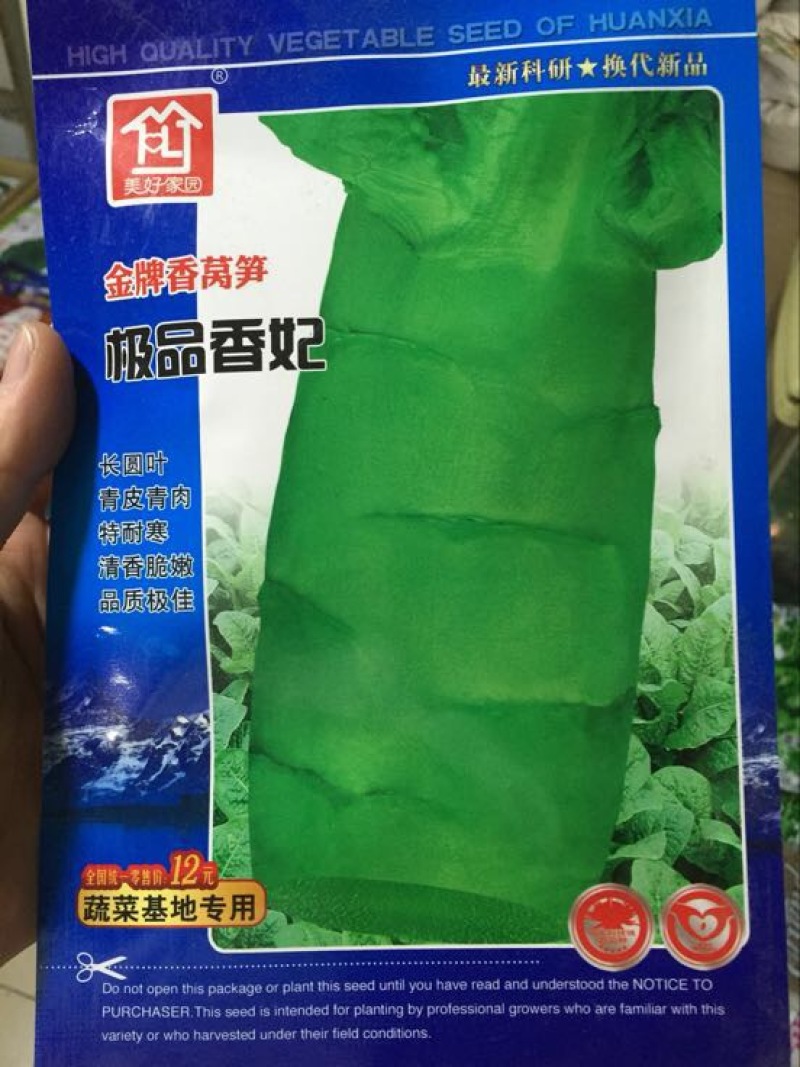 莴笋种子