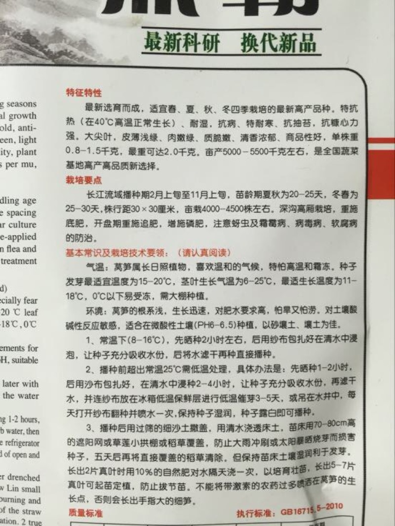 莴笋种子