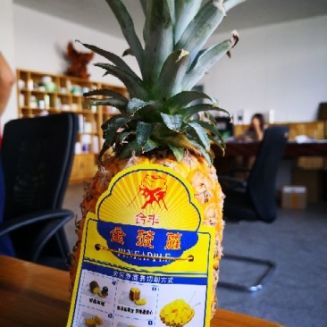 水果贴纸/菠萝标签/凤梨标签
