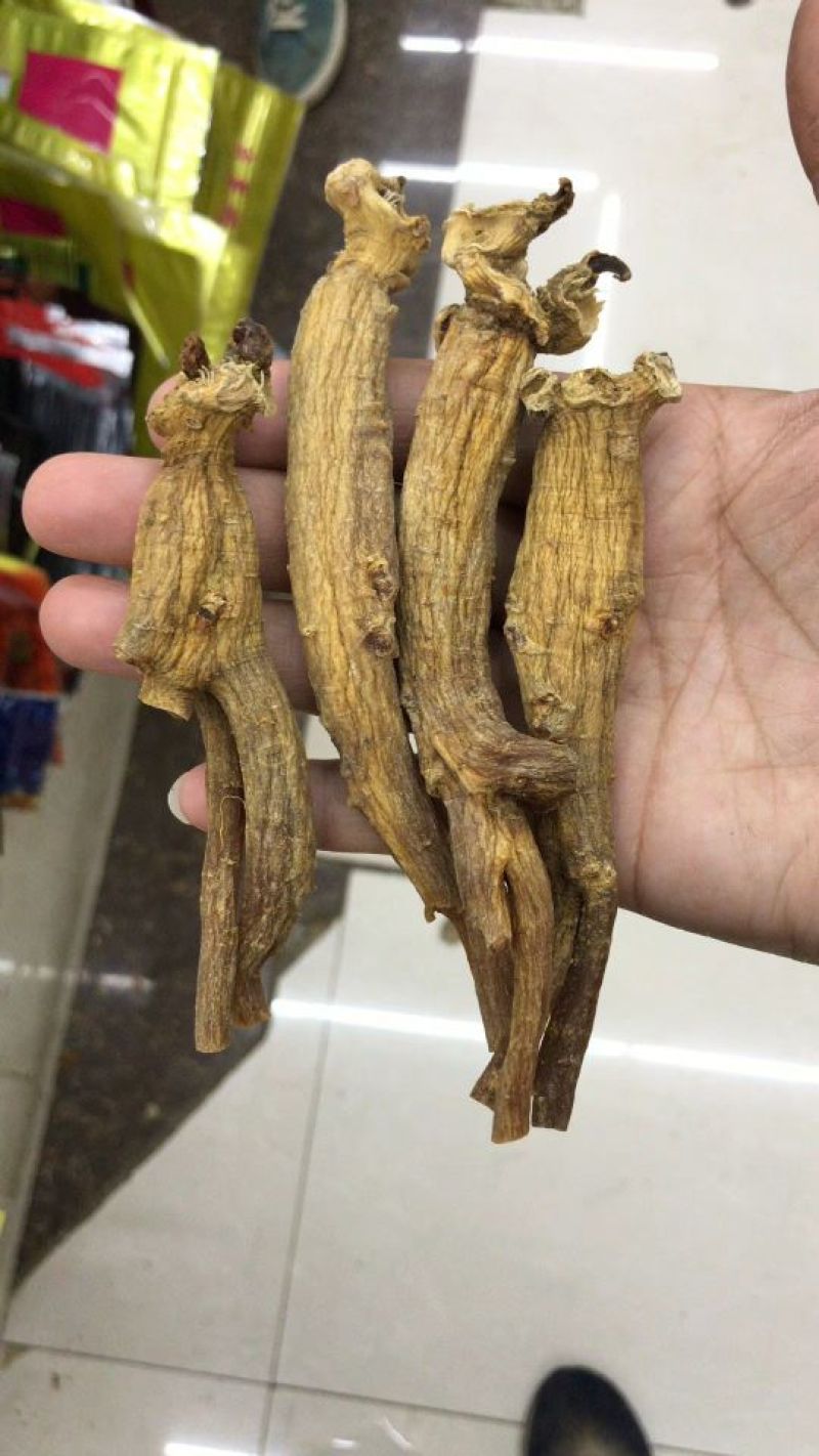 高丽参无糖高丽参10头全枝都是十多年的老参