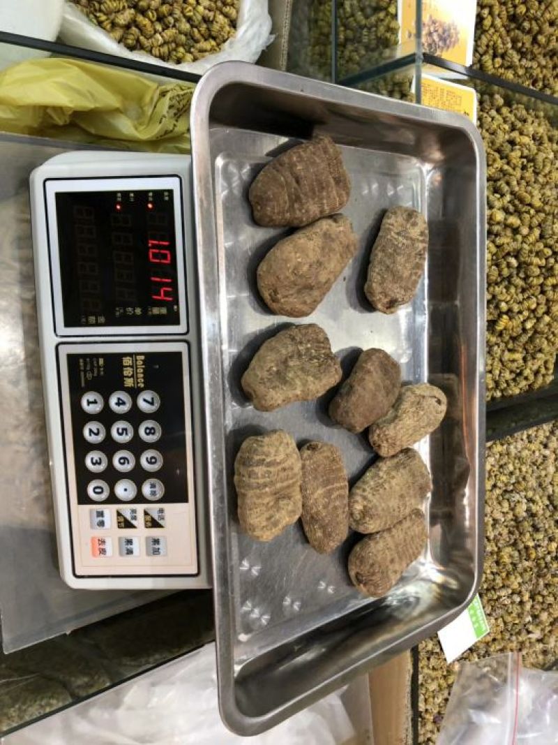 天麻小草坝大乌天麻天麻浓地道天麻产地直发