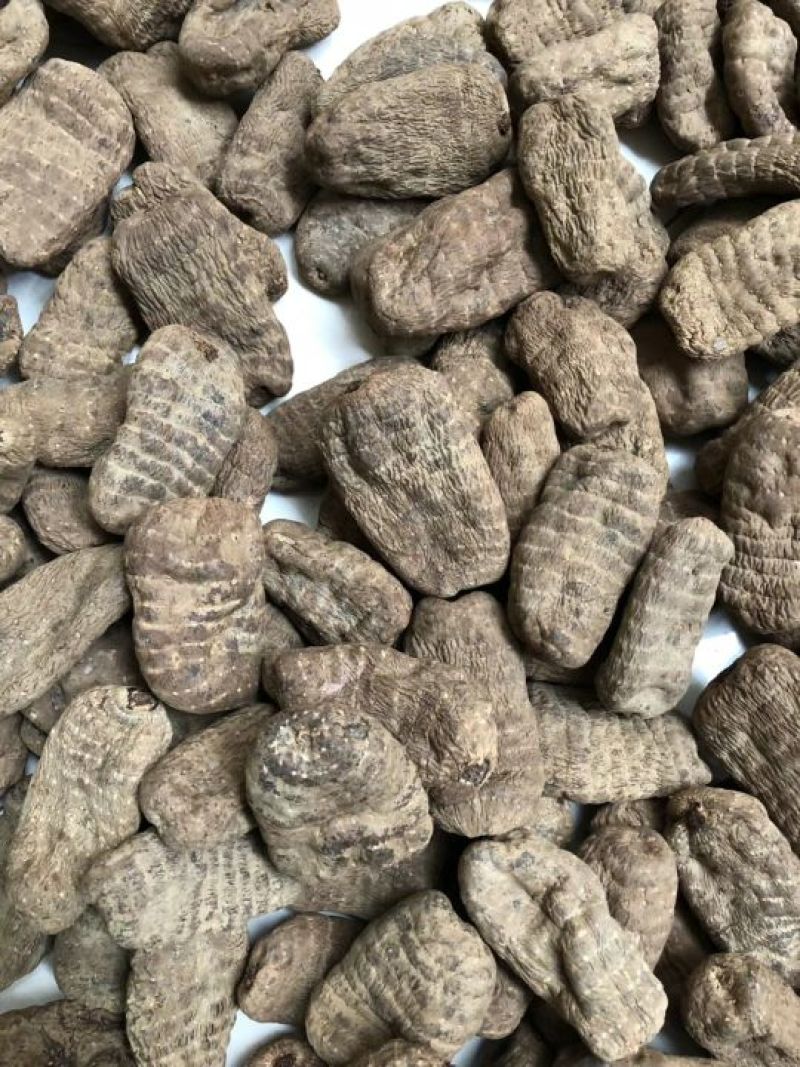 天麻小草坝大乌天麻天麻浓地道天麻产地直发