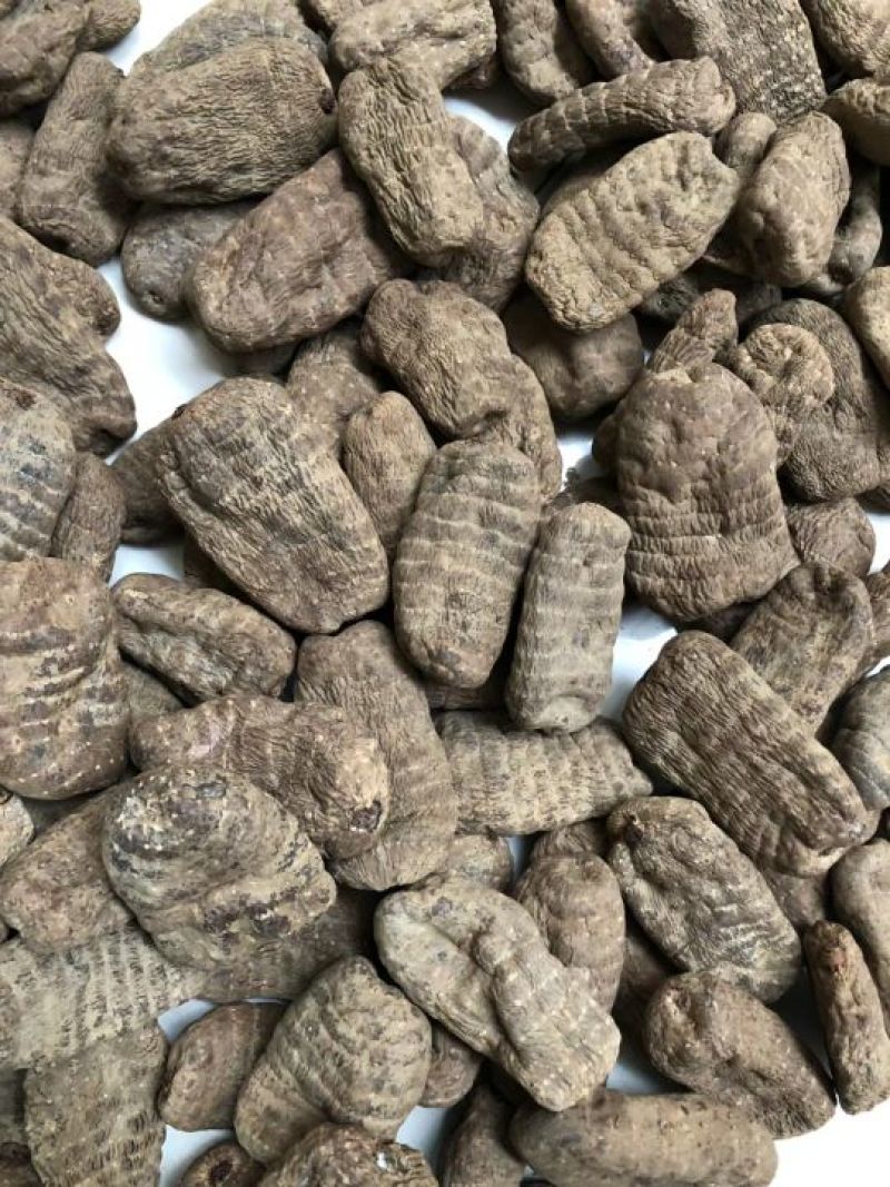 天麻小草坝大乌天麻天麻浓地道天麻产地直发