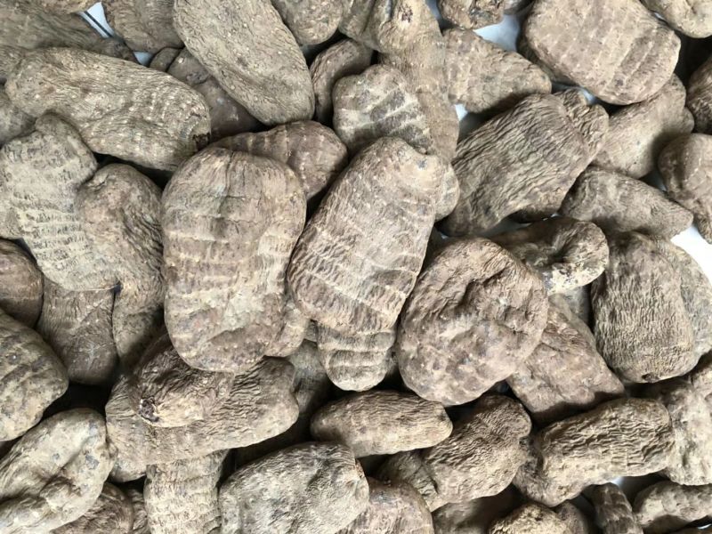 天麻小草坝大乌天麻天麻浓地道天麻产地直发