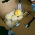 高山锦绣黄桃