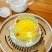 金丝皇菊