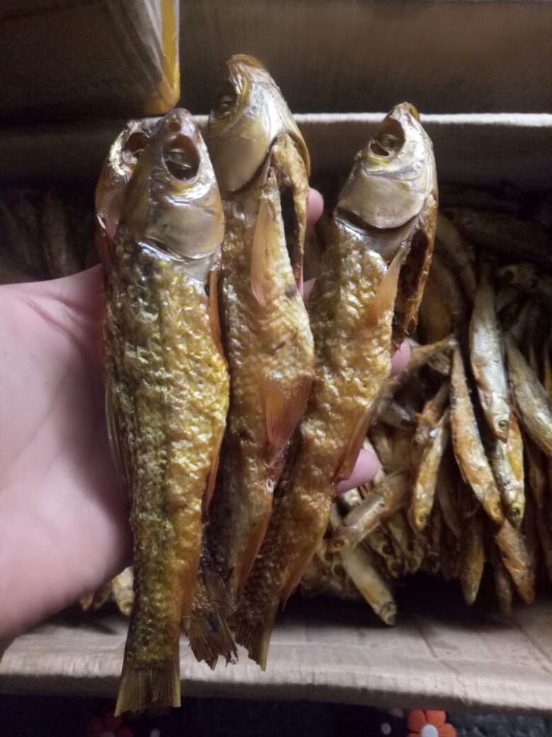 优质大虾，精品干鱼大量上新