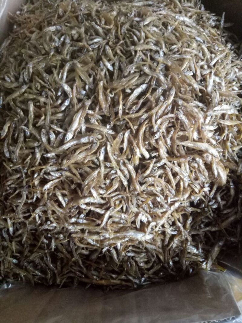 优质大虾，精品干鱼大量上新