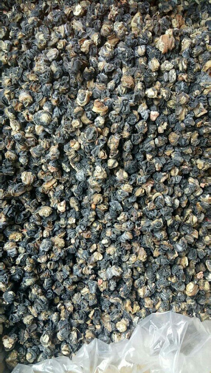 优质大虾，精品干鱼大量上新
