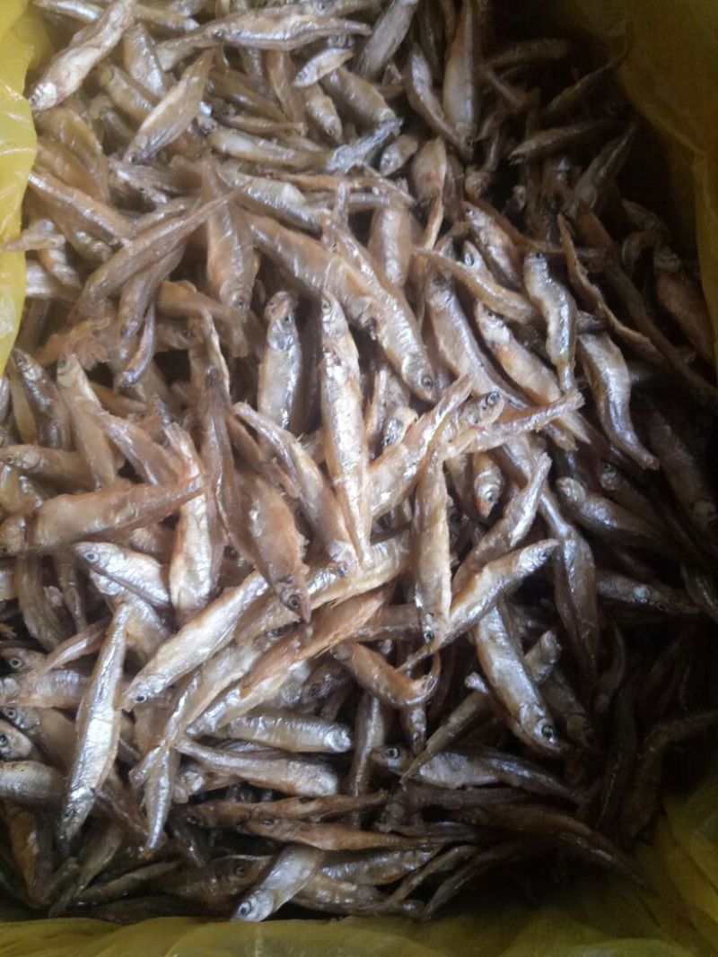 优质大虾，精品干鱼大量上新