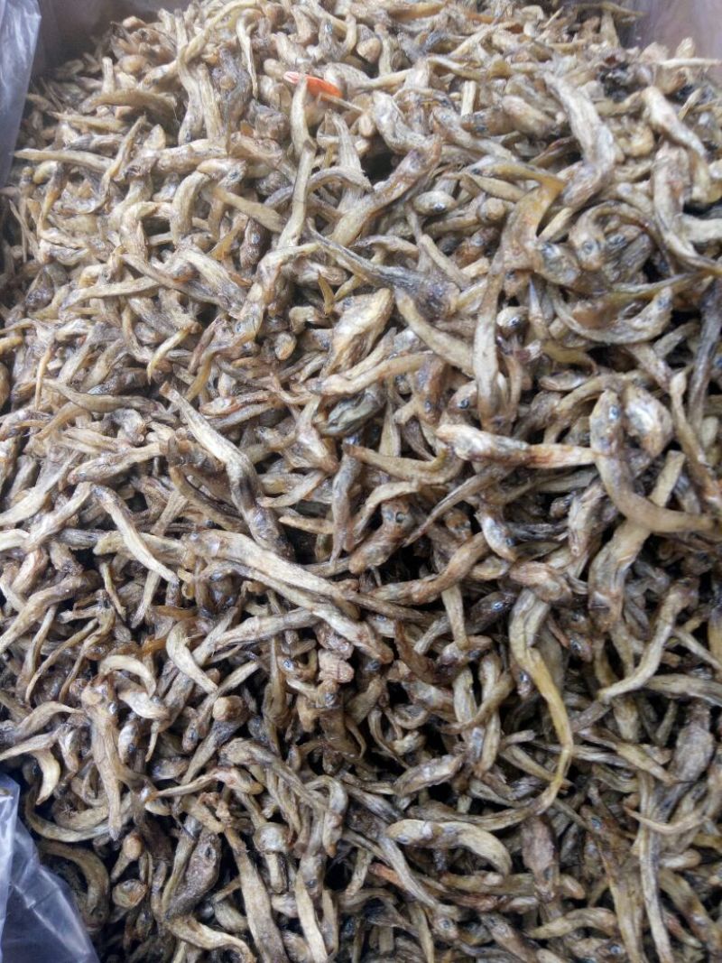 优质大虾，精品干鱼大量上新