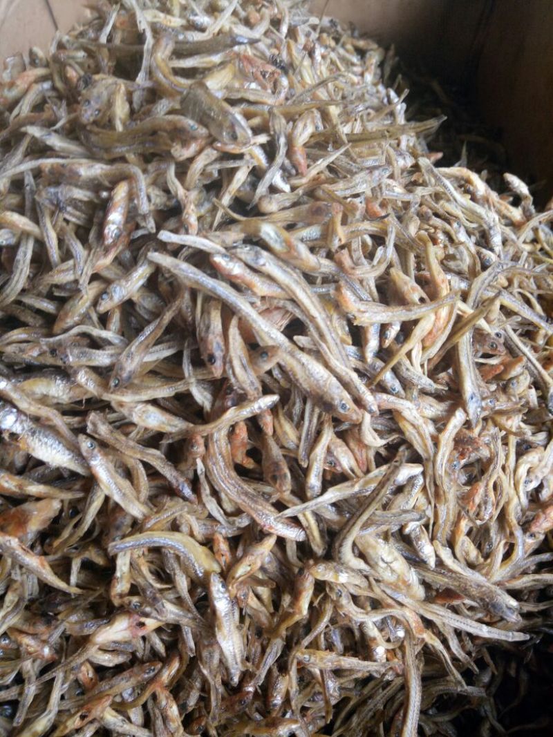 优质大虾，精品干鱼大量上新