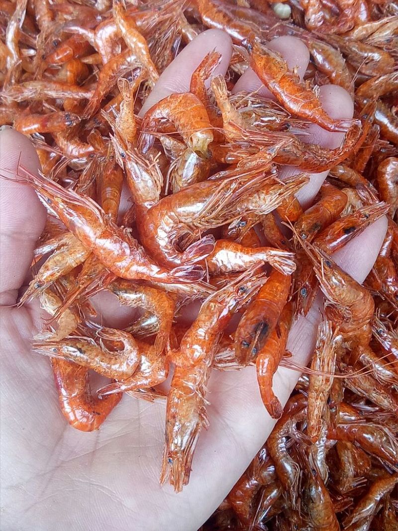 优质大虾，精品干鱼大量上新