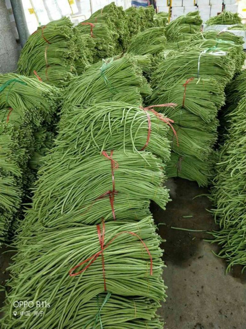 广西南宁市苏圩镇供应长豆角质量好价格合理