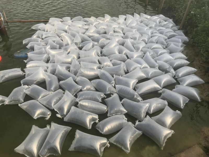 澳洲宝石鲈鱼苗宝石斑鱼苗热带鲈鱼无小刺.技术指导收购