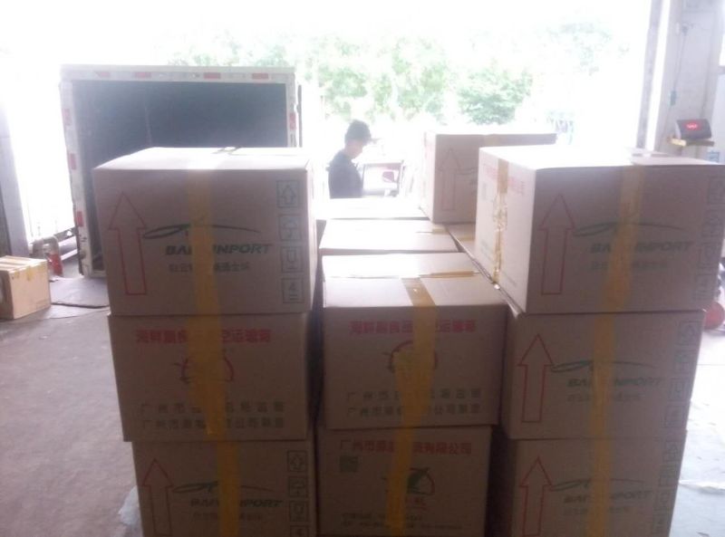 军鱼苗批发光倒刺耙鱼苗青竹鲩鱼苗坑坚鱼苗批发
