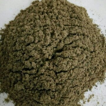 鱼粉