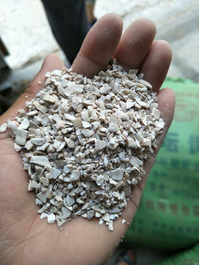 鱼粉