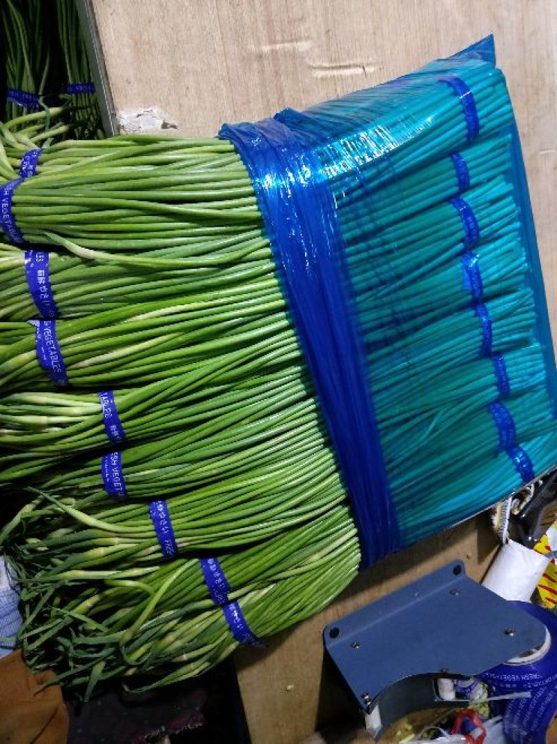 红帽蒜薹天天有货量大价优欢迎采购60公分以上