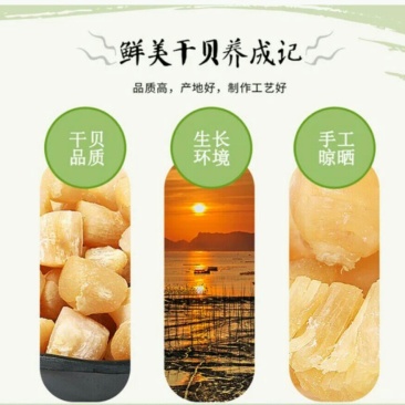 新鲜大干贝