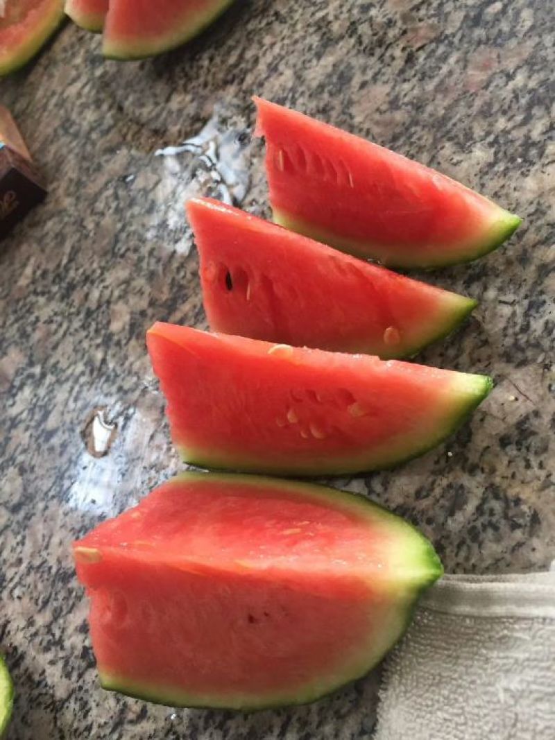 早春红玉西瓜