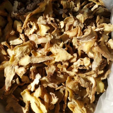 黄精片