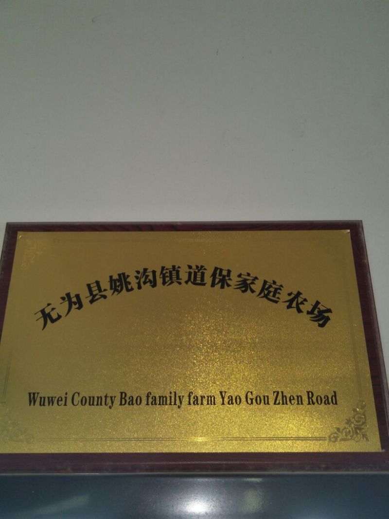 油菜籽