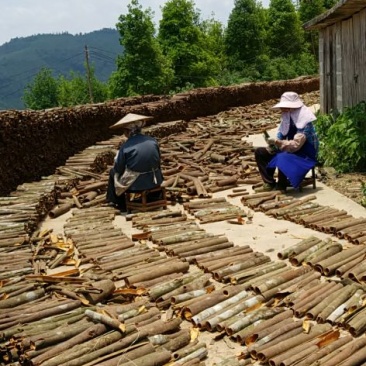 大量桂皮产地直销，欢迎下单