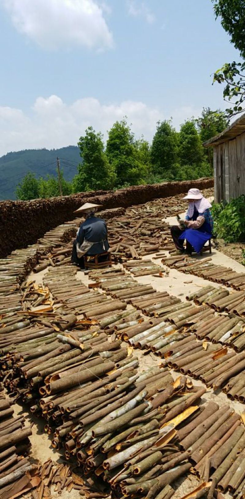 大量桂皮产地直销，欢迎下单