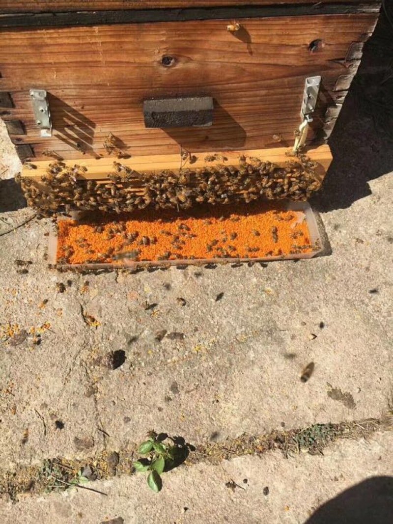 槐花蜜