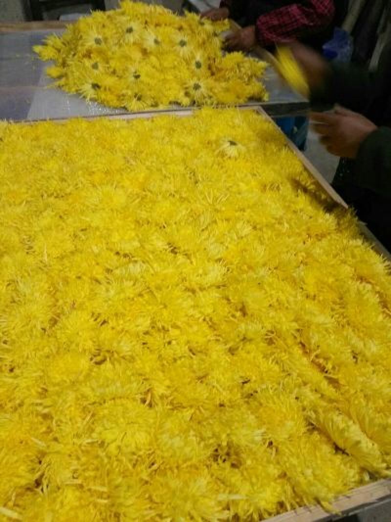 金丝皇菊散装60克，双罐一套装礼盒