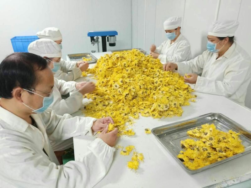 金丝皇菊散装60克，双罐一套装礼盒