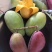 贵妃芒