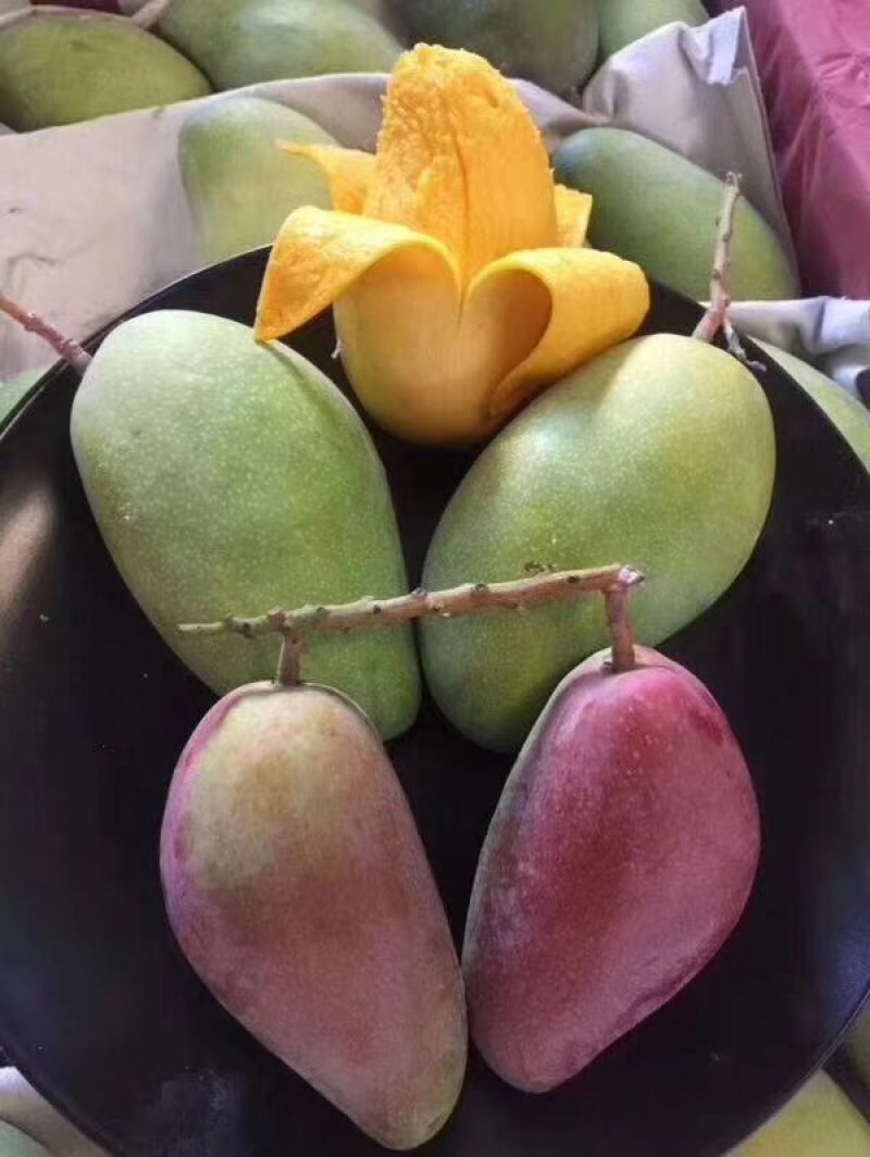 贵妃芒