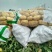 山东荷兰十五土豆中薯5通货诚信代收代发全国发货