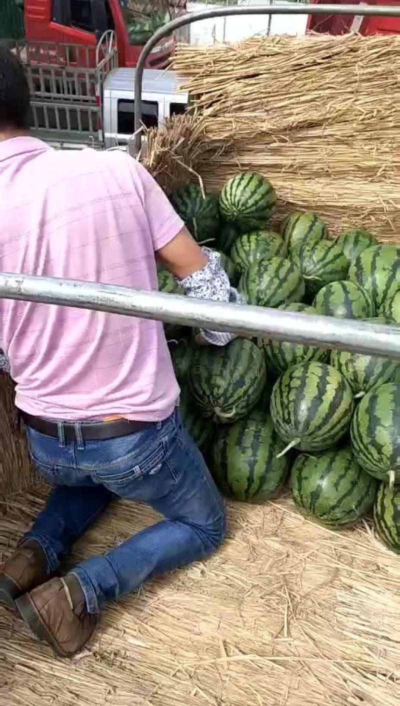 甜王西瓜
