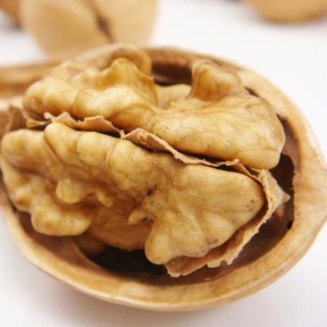 薄皮核桃新疆核桃185核桃厂家批发直供价格实惠